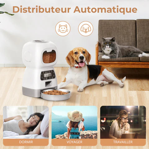 Chauto® Distributeur de Croquettes Automatique Programmable