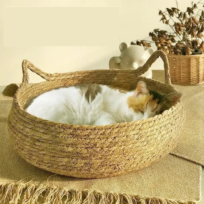 Chotin® Panier pour Animal avec Coussin Relaxant
